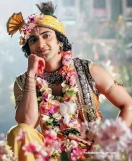 😊 Krishna radhekrishna_official Krishna, Hindu deity, Indian god, Radha Krishna, spiritual, religion, devotional telegram sticker
