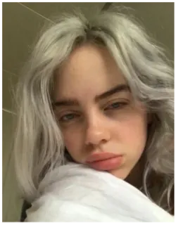 🤤 Billie Eilish 比莉·艾利什, 歌手, 流行明星, 名人, 肖像, 女性, 音乐人 telegram sticker