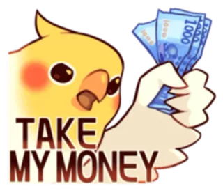 💲 TAKE MY MONEY เงิน, นก, ค็อกคาเทล, สกุลเงิน, ตลก, มีม telegram sticker