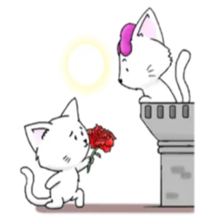 🌹 chat, amour, fleur, dessin animé, romance, mignon telegram sticker