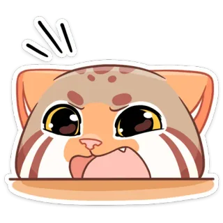 😦 gato, gatito, enfadado, expresión, lindo, animal, dibujo animado telegram sticker