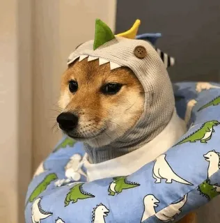 🐕 perro, shiba inu, mascota, sombrero de dinosaurio, lindo, animal, animal doméstico whatsapp sticker