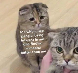 💔 Me when i see
people losing
interest in me
and finding
someone
better than me kucing, meme, sedih, minat, kalah, lebih baik telegram sticker