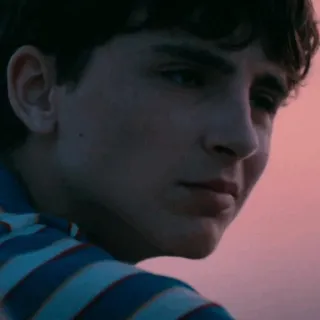 💰 Timothée Chalamet acteur, portrait, célébrité, star de cinéma telegram sticker