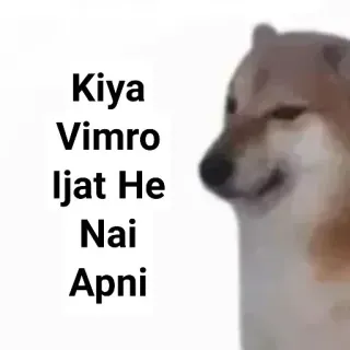 🤔 Kiya Vimro Ijat He Nai Apni 犬, ミーム, 面白い telegram sticker