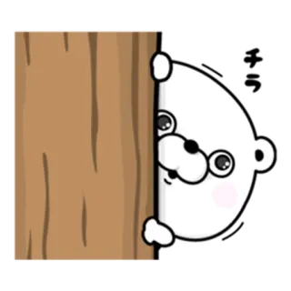 😕 медведь, подглядывать, милый, животное, мультфильм, белый whatsapp sticker