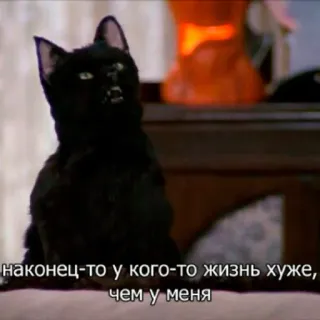 😬 наконец-то у кого-то жизнь хуже, чем у меня cat, black cat, russian, meme telegram sticker