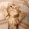 💤
