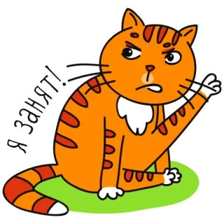 🐱 Я занят! kot, zajęty, kreskówka, naklejka, pomarańczowy, rosyjski telegram sticker