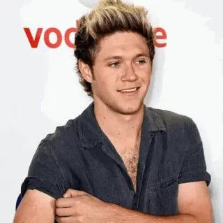 ✨ Niall Horan นักดนตรี, นักร้อง, คนดัง, ภาพเหมือน, ผู้ชาย, ไนออล ฮอแรน telegram sticker