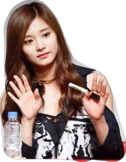 ✋ wanita, K-pop, penyanyi, artis, selebriti, Tzuyu, cantik, orang telegram sticker