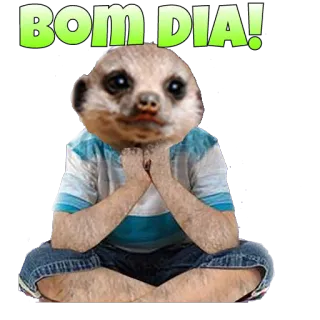 🌞 BOM DIA! suricato, bom dia, saudação, animal telegram sticker