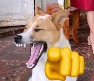 👉 chien, pointage, en colère, emoji, offensant telegram sticker