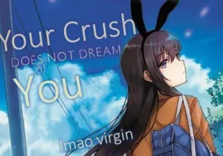 🥺 Your Crush DOES NOT DREAM of YOU 
lmao virgin anime, bunny girl, text, virgin, humor whatsapp sticker