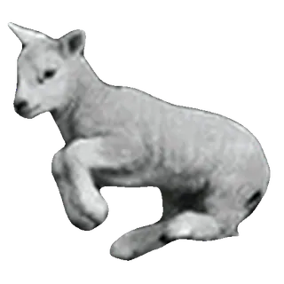 🐑
