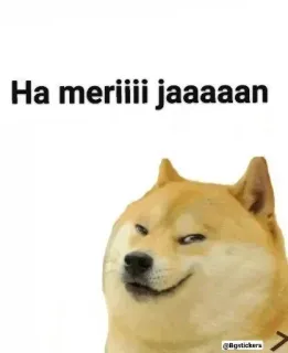 😁 Doge Ha meriiii jaaaaan telegram sticker