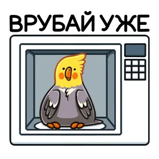 😊 ВРУБАЙ УЖЕ pássaro, papagaio, microondas, cozinhar, russo, adesivo telegram sticker