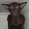 😳