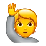 🙋
