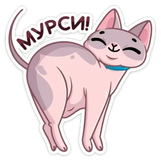 ☺️ Мурси! gatto, adesivo, cartone animato, carino, russo, animale domestico telegram sticker