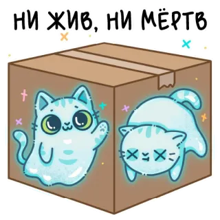 🐱 НИ ЖИВ, НИ МЁРТВ telegram sticker