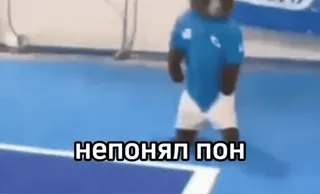 😟 НЕПОНЯЛ ПОН Bär, Russisch, Text, Sticker, Tier telegram sticker