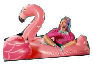🙏 flamant rose, gonflable, homme, rose, argent, célébrité telegram sticker