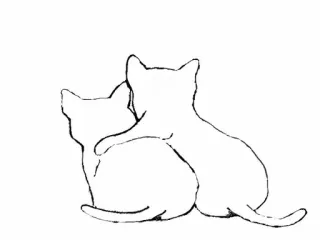 💘 gato, gatos, abraçando, fofo, adesivo, animais telegram sticker
