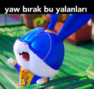 🙃 yaw bırak bu yalanları 토끼, 만화, 웃긴, 귀여운, 동물 whatsapp sticker