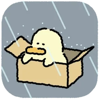 💬 anatra, scatola, pioggia, carino, cartone animato, animale, adesivo telegram sticker