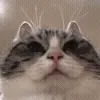 🤨