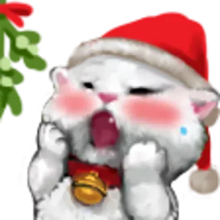 😳 Katze, Mistel, Weihnachten, Winter, Feiertag, niedlich, Aufkleber telegram sticker