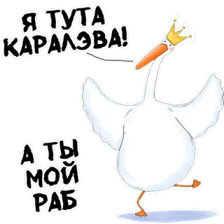 Стикеры от канала @gysixa telegram stickers