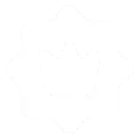 👑