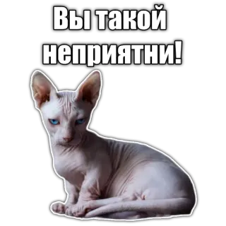 🤢 Вы такой неприятни! cat, sphynx, angry, funny, russian, meme telegram sticker