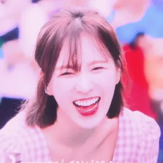 🐚 whatsapp sticker