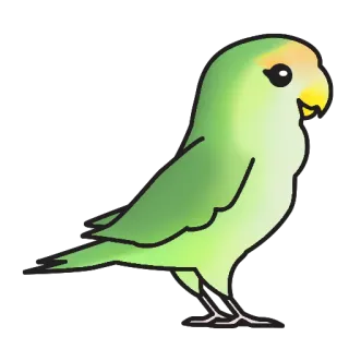 🐔 bird, parrot, animal, cute, green, lovebird telegram sticker