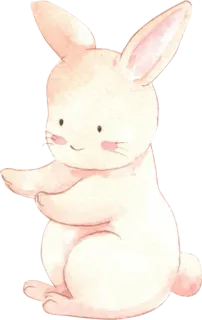 🐰 Hase, Kaninchen, süß, Tier, Aquarell whatsapp sticker