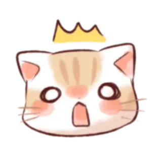 ❗ кот, котёнок, животное, корона, милый, в шоке, каваи whatsapp sticker