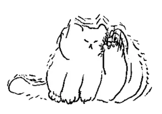 🤍 кот, животное, милый, пушистый, питомец, эскиз telegram sticker