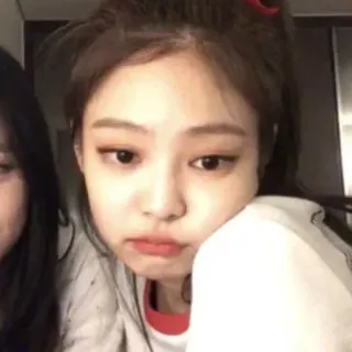 🐼 whatsapp sticker