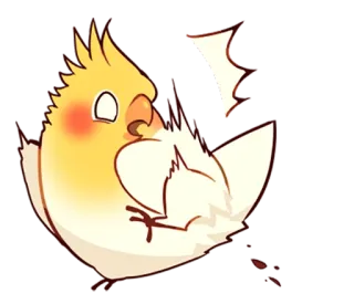 😧 vẹt mào, chim, dễ thương, động vật, thú cưng telegram sticker