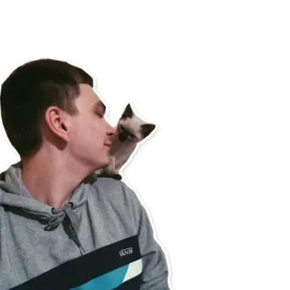 🐱 homem, gato, animal de estimação, ombro, retrato, moletom cinza com capuz telegram sticker