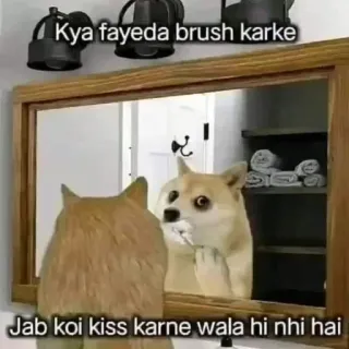 🌟 Doge Kya fayeda brush karke Jab koi kiss karne wala hi nhi hai doge, meme, brushing teeth, mirror, funny, lonely, dating, humor telegram sticker
