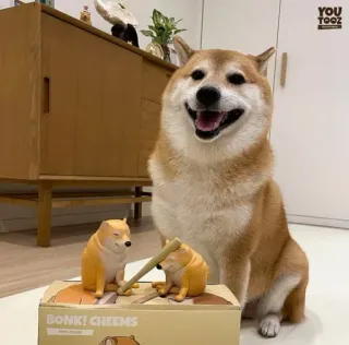 ❤️ Cheems BONK! CHEEMS doge, dog, cheems, meme, shiba inu, funny, bonk telegram sticker
