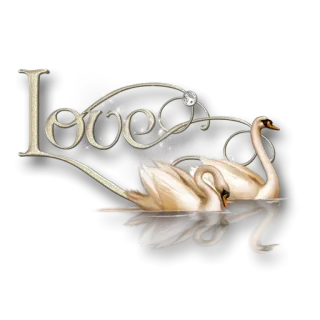 😮 Love amour, cygnes, romantique, autocollant, animal, oiseaux telegram sticker