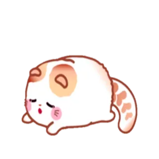 😞 gato, sonolento, animal, kawaii, fofo, animal de estimação, animal doméstico telegram sticker