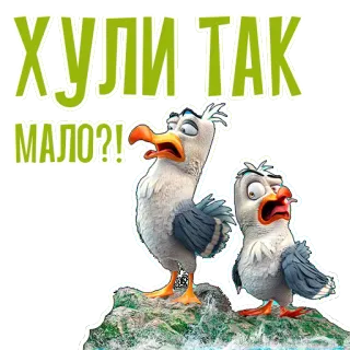 🦇 ХУЛИТАК
МАЛО?! burung, camar, kartun, hewan whatsapp sticker