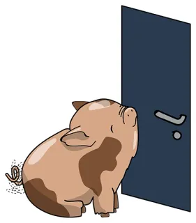 👍 cerdo, puerta, animal, lindo, dibujos animados, ilustración whatsapp sticker