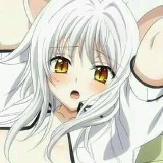 🥀 Chica anime, Pelo blanco, Ojos amarillos, Linda, Femenina, Personaje de anime telegram sticker